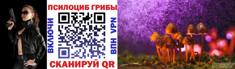Псилоцибиновые грибы ЛСД  Ветлуга 