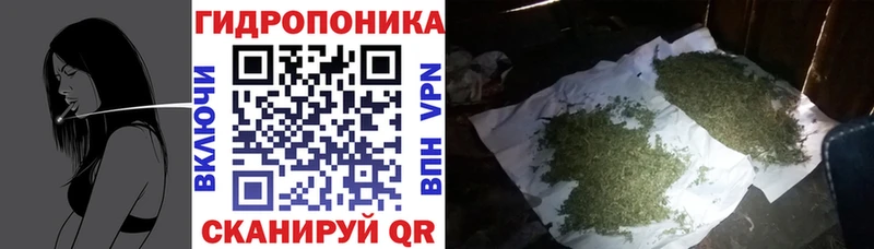 что такое наркотик  Ветлуга  Конопля планчик 